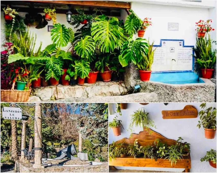 فيلا El Aguacate Lanjarón المظهر الخارجي الصورة